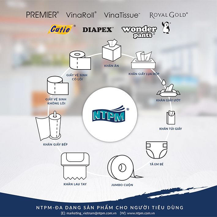 Giấy Vệ Sinh Cutie Compact có lõi 6 cuộn