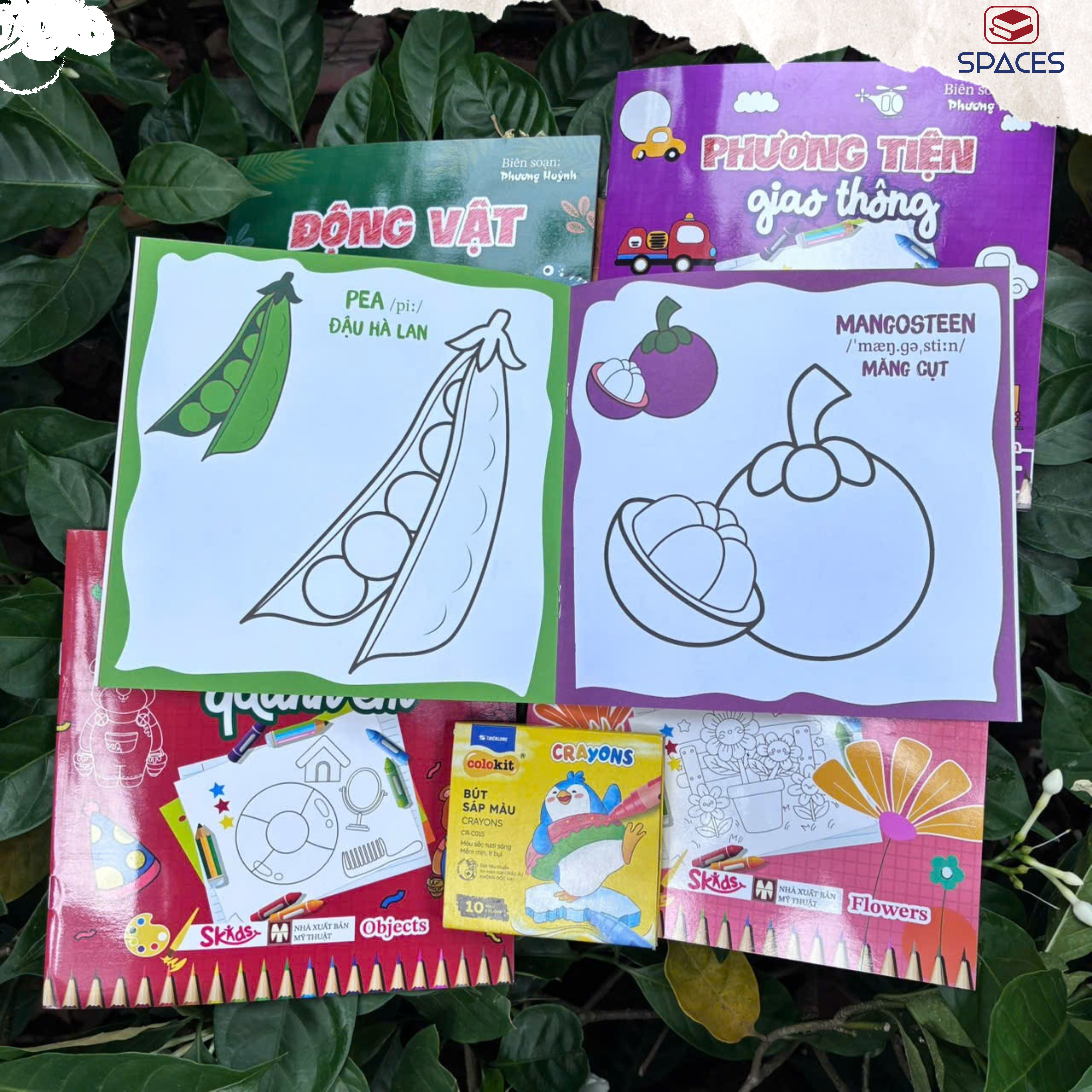 Sách - Tô Màu Thông Minh - RAU CỦ QUẢ - SKIDS