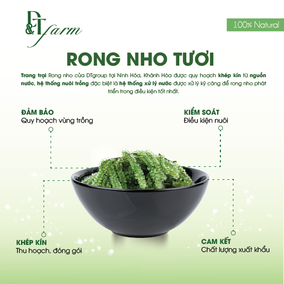 Rong Nho Khô Tách Nước Okinawa - Thần Dược Đại Dương