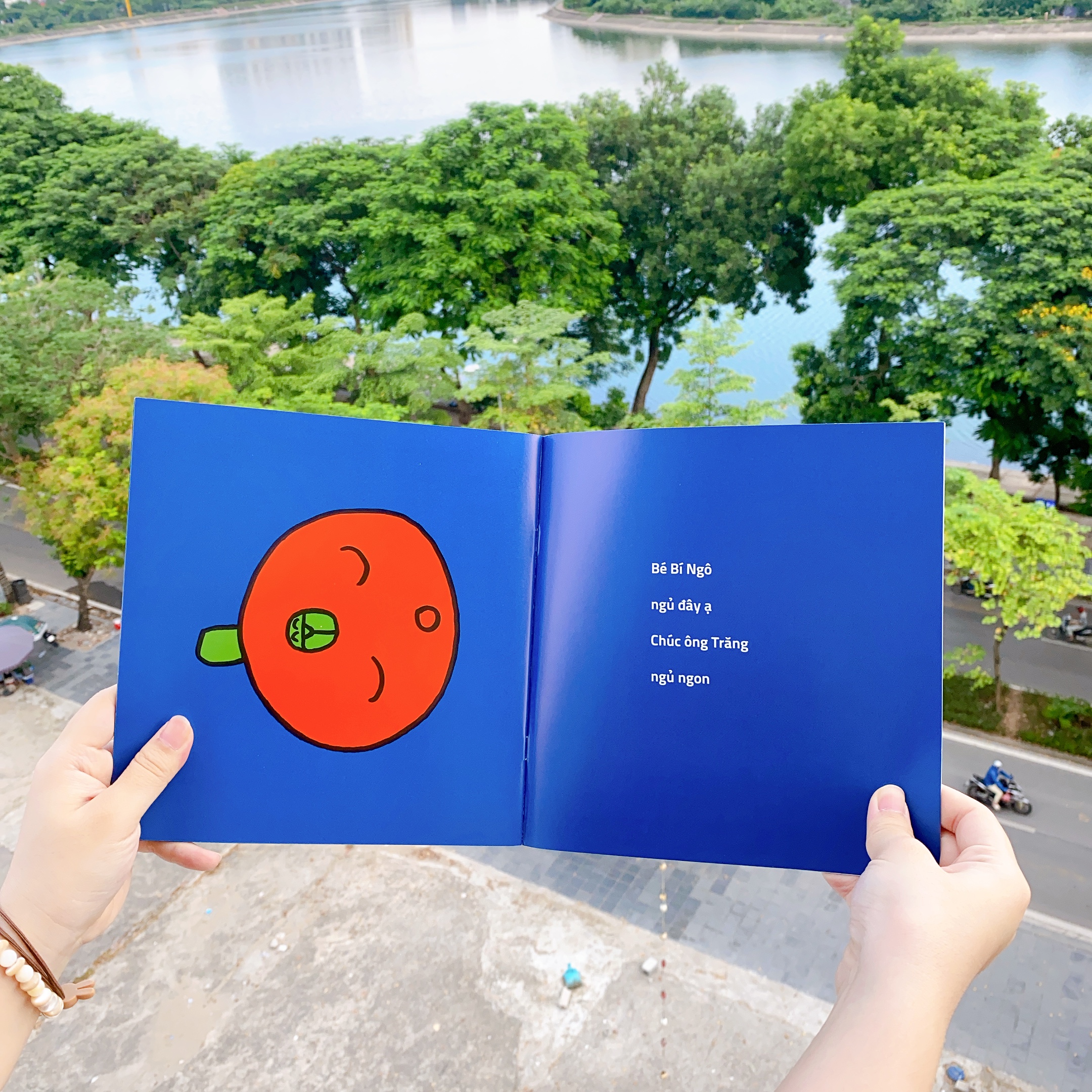 Sách Ehon cho bé 0 2 tuổi - Bí ngô không ngủ được