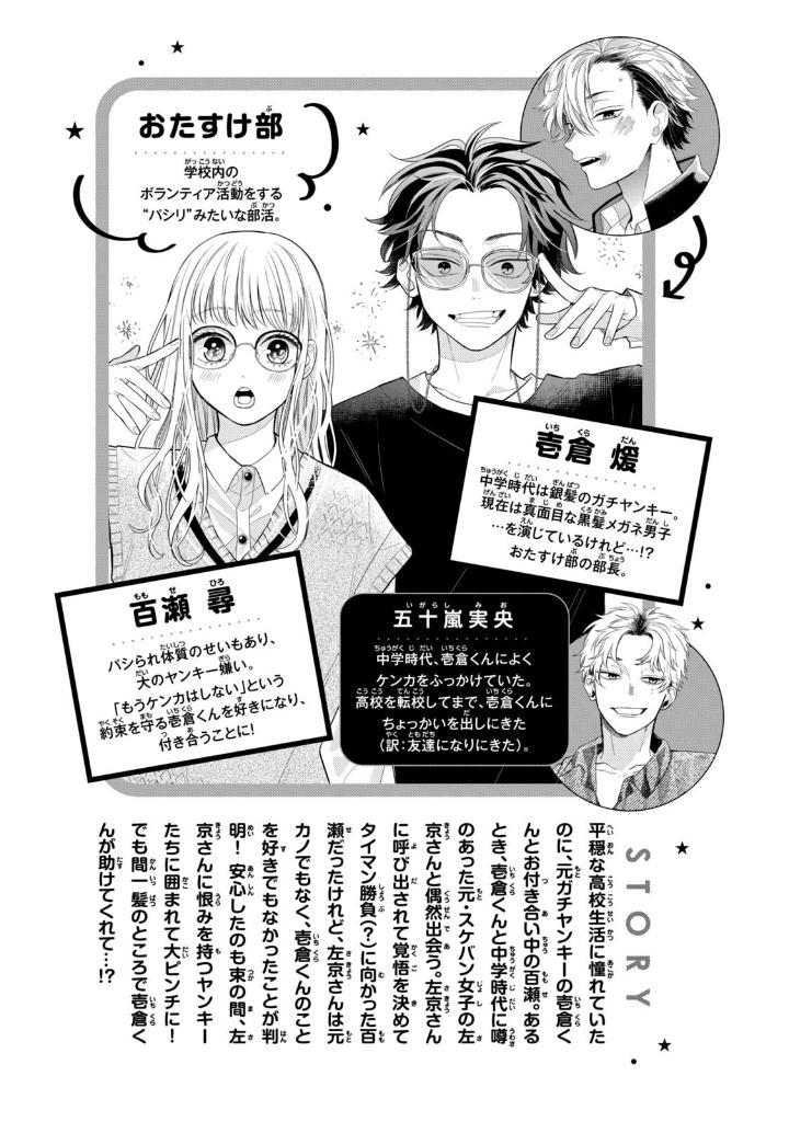 Sách ngoại văn: Megane, Tokidoki, Yankee-kun 5 (Japanese Edition)