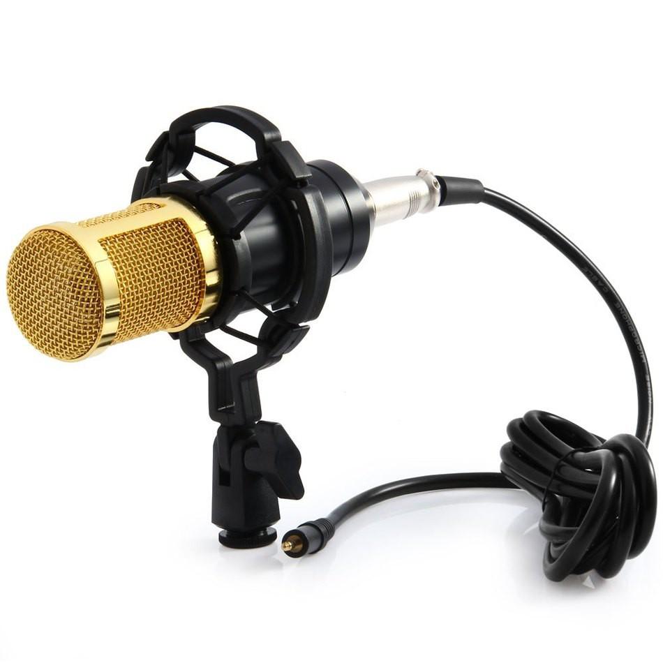 MIC THU ÂM CHUYÊN NGHIỆP BM8009000