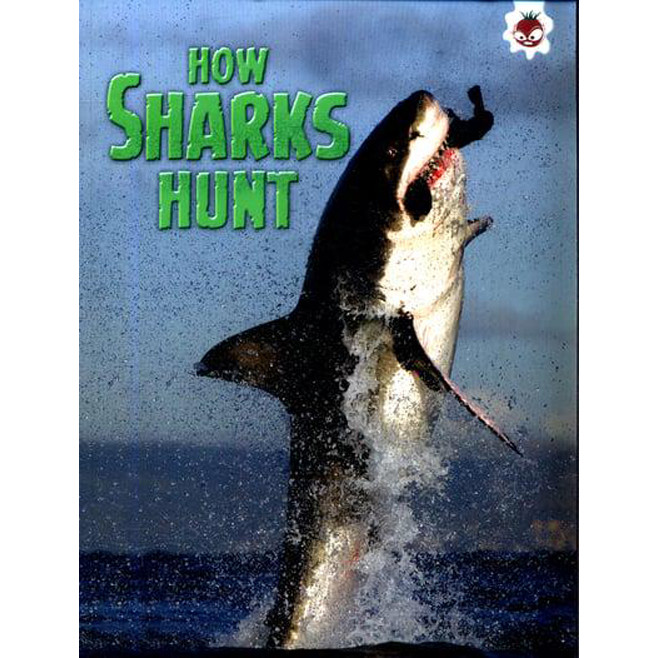 Sách tiếng Anh - How Sharks Hunt