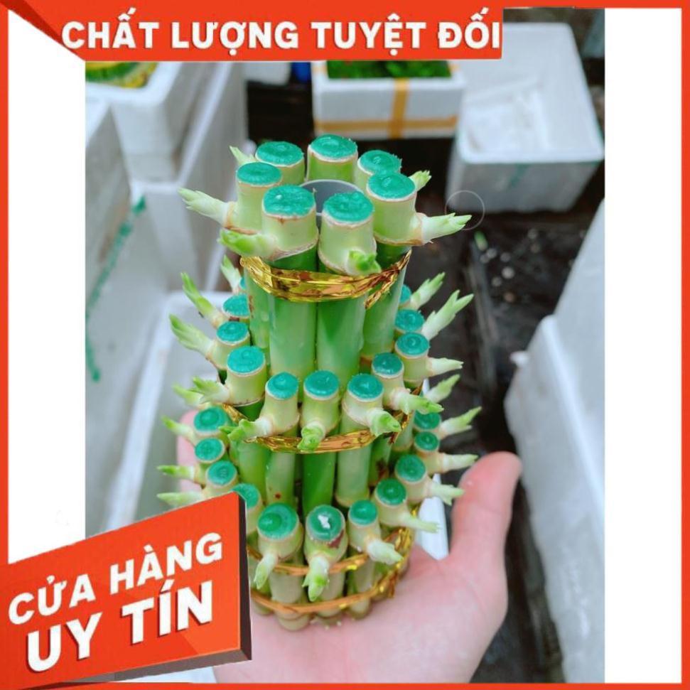 Chúc Phát Tài Hay Chúc Phát Lộc 3 Tầng Có Tặng Kèm Dĩa Lót