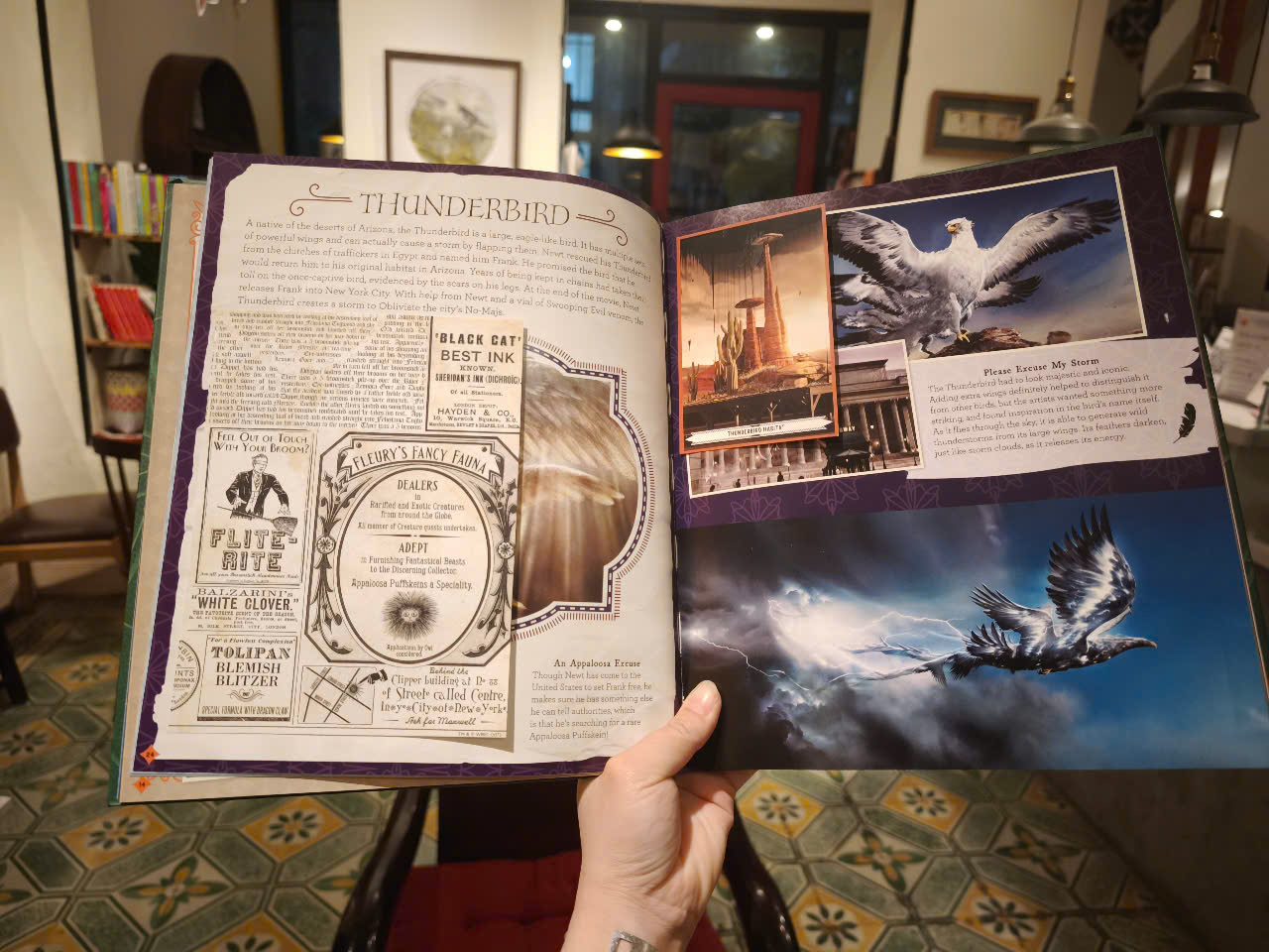 Sách - J.K. Rowling's Wizarding World: Movie Magic Volume Two: Curious Creatures by Ramin Zahed