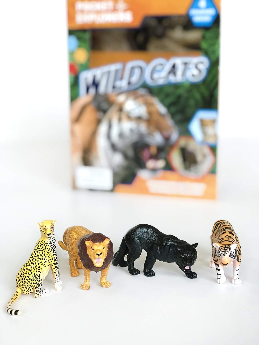 Wild Cats Pocket Explorers