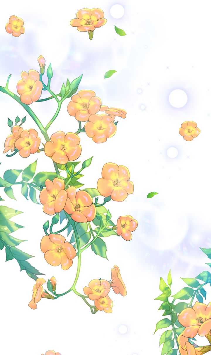 khi những nụ hoa nở rộ chapter 0 23