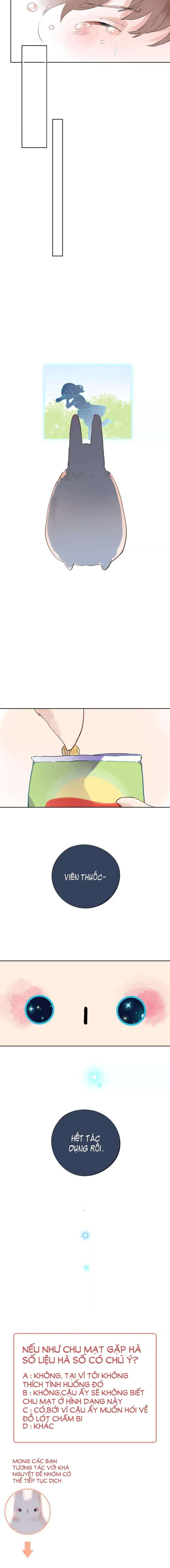 dolo vận mệnh giao nang chapter 11 15