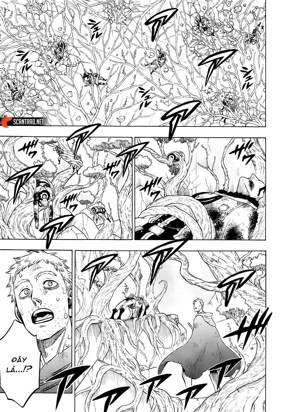 black clover - pháp sư không phép thuật chapter 239 4