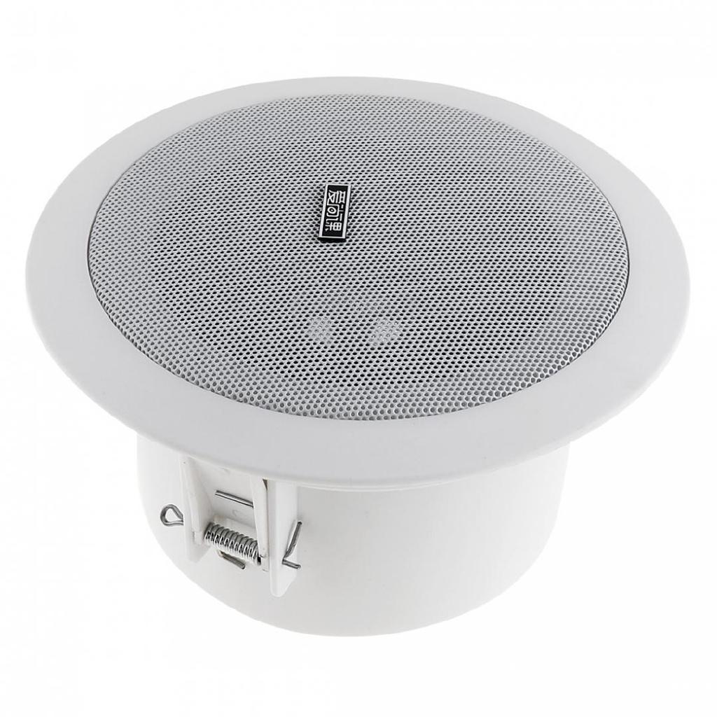 Loa gắn trần nhà chống thấm nước