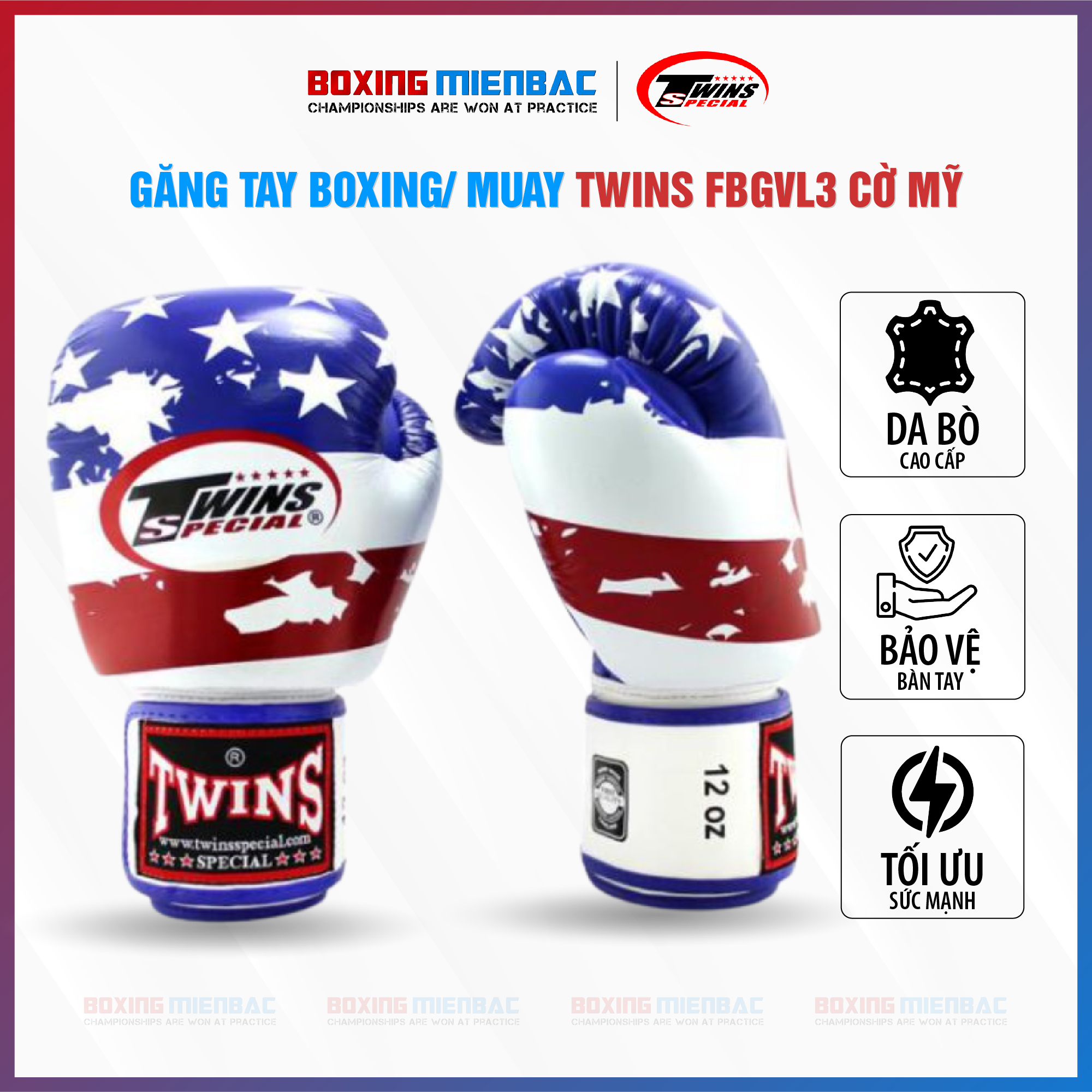 Găng Tay Boxing/ Muay Twins FBGVL3 Cờ Thái Lan Cao Cấp
