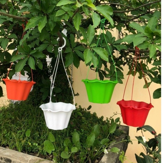 Chậu treo xinh siêu bền vành bèo có khay trữ nước và thoát nước, chậu treo trồng cây, chậu Tulip