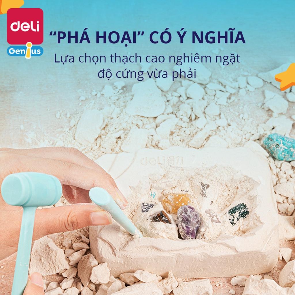 Bộ Đồ Chơi Truy Tìm Kho Báu Kèm Dụng Cụ Khảo Cổ, Kệ Trưng Bày Deli - Đồ Chơi Giáo Dục Kích Thích Trí Tìm Tòi Sáng Tạo Của Trẻ - 74357