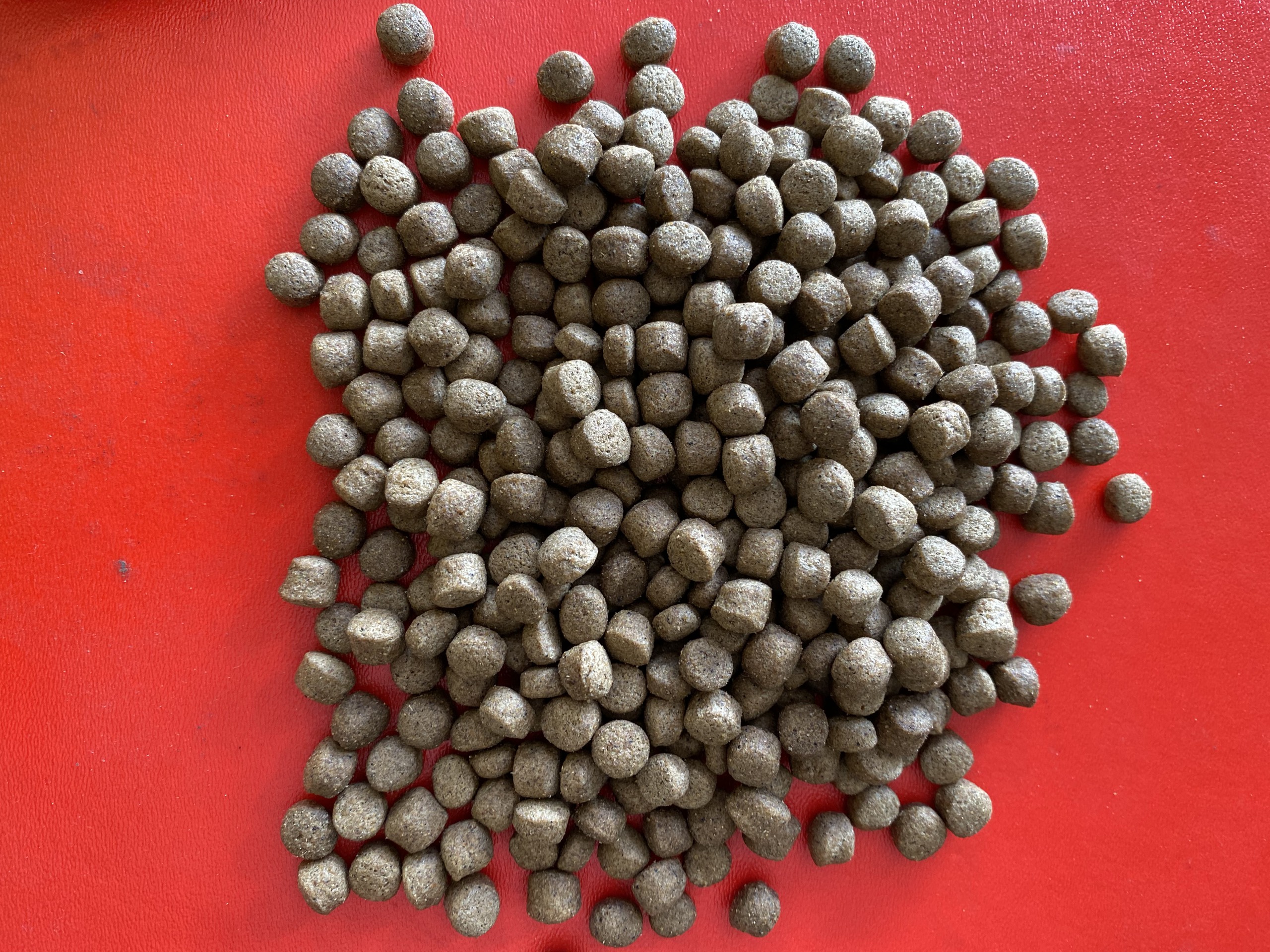 Thức ăn đạm cao cho cá, baba, cua đinh, ếch, rùa bán lẻ từ 1kg