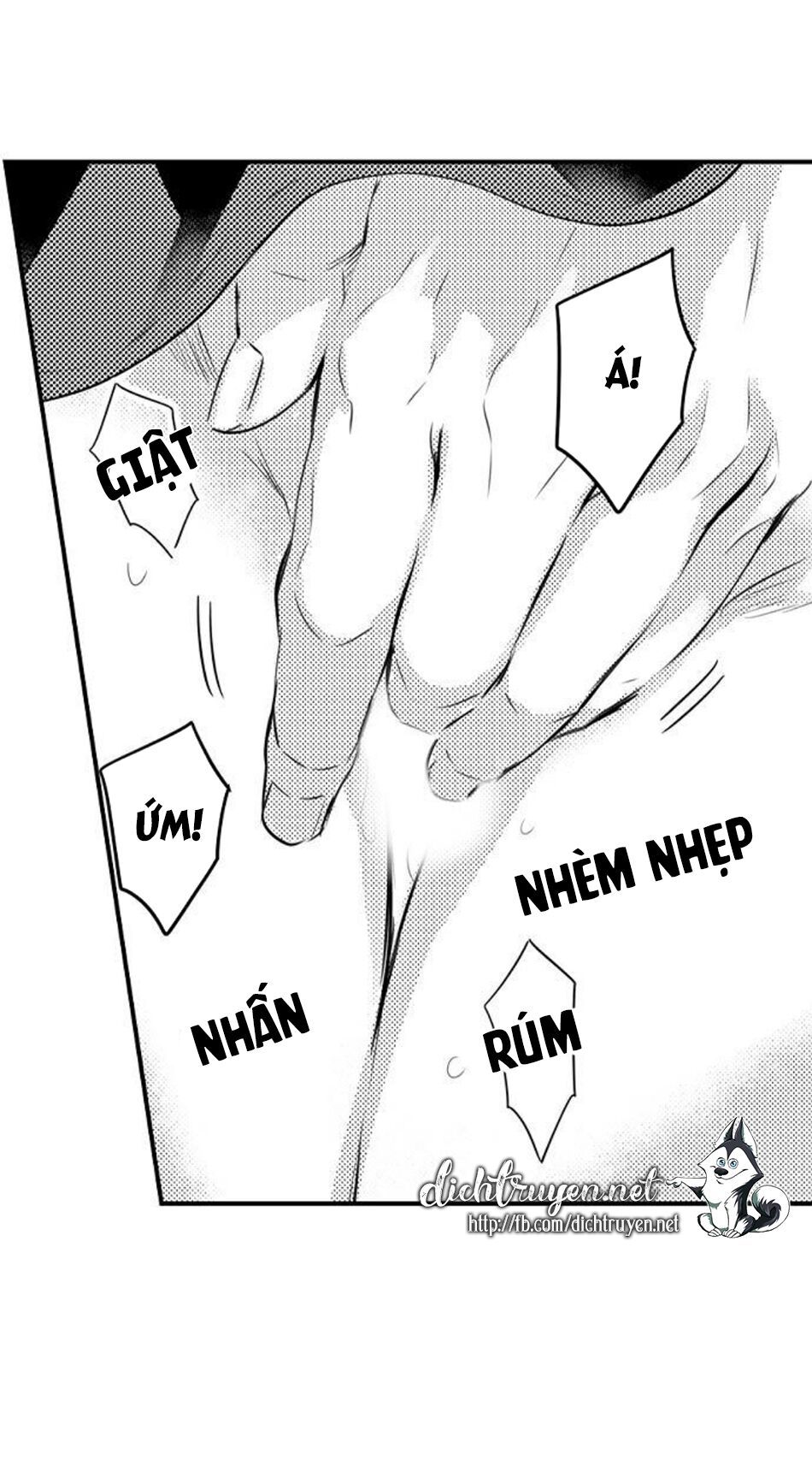 trêu ghẹo "gấu" nhà tôi! chapter 20 28