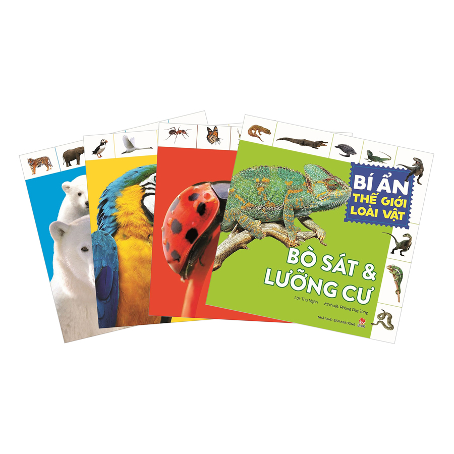 Combo Bí Ẩn Thế Giới Loài Vật