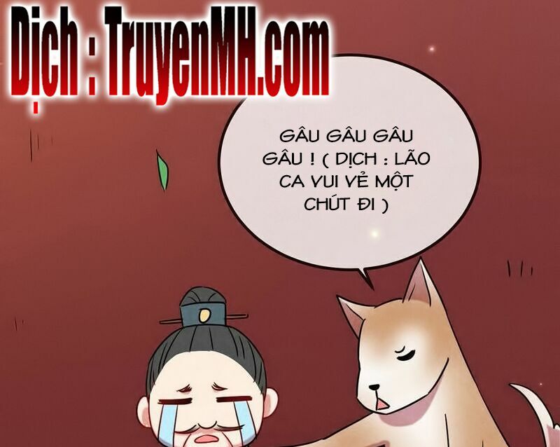 101 mỹ nam của vương phi béo phì chapter 19 13