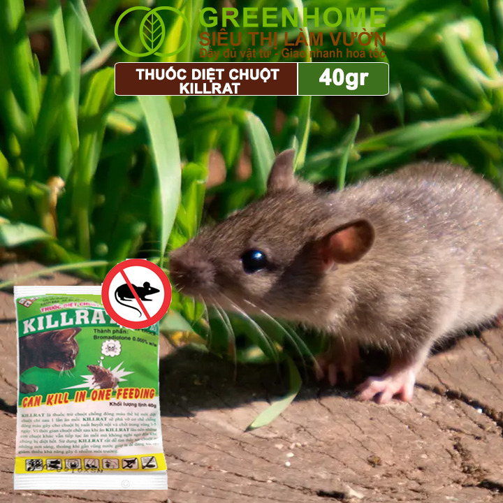 Thuốc Diệt Chuột Greenhome, Killrat, Bao 40gr, Thế Hệ Mới, Hiệu Quả, Diệt Cả Đàn, Giúp Nhà Sạch Sẽ, Bảo Vệ Vườn