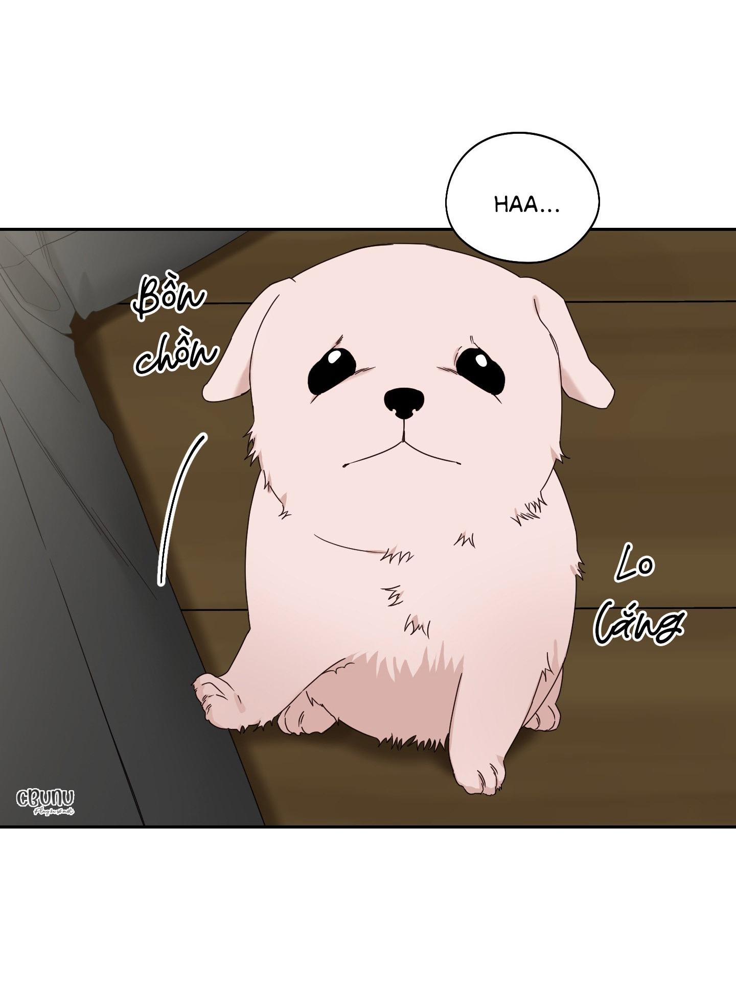 điểm dừng chân cuối cùng chapter 41 11