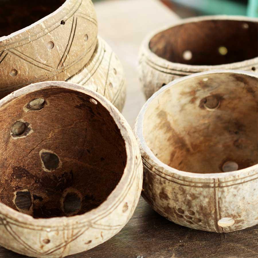 Gáo dừa thô TRỒNG LAN I CÂY CẢNH