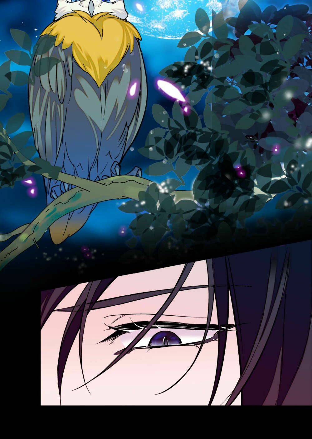 huyết túc khế ứớc chapter 14 27