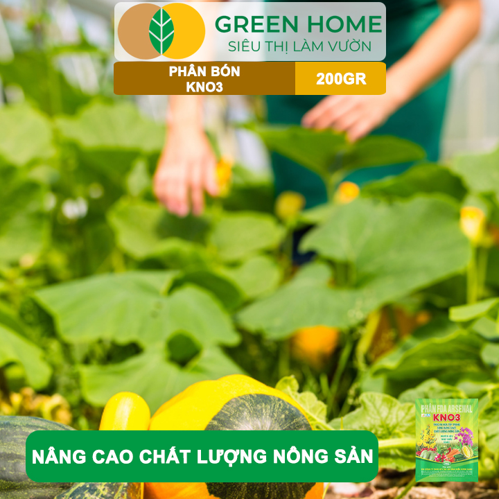 Phân Bón Lá KNO3 GreenHome, Gói 200gr, Nguyên Liệu Nhập Khẩu Israel, Kích Hoa, Đậu Quả Tốt