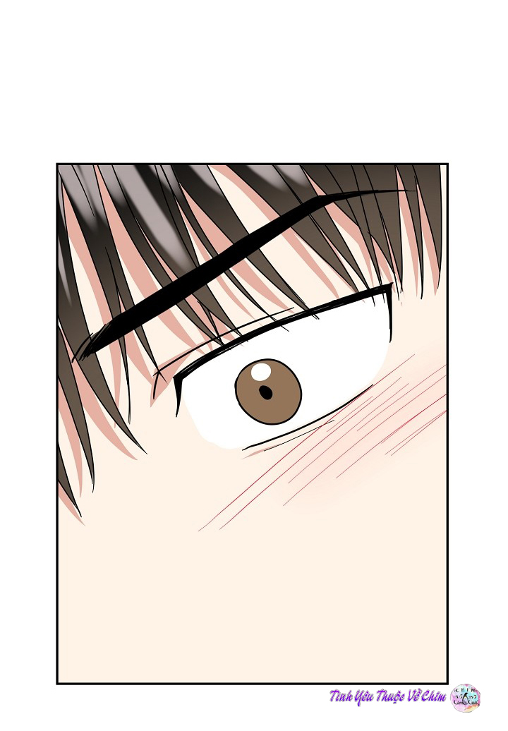 đối tác an toàn chapter 8 54