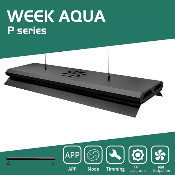 Đèn Week Aqua series P900 Pro wrgb uv - đèn thuỷ sinh đánh cá và cây lên màu đẹp