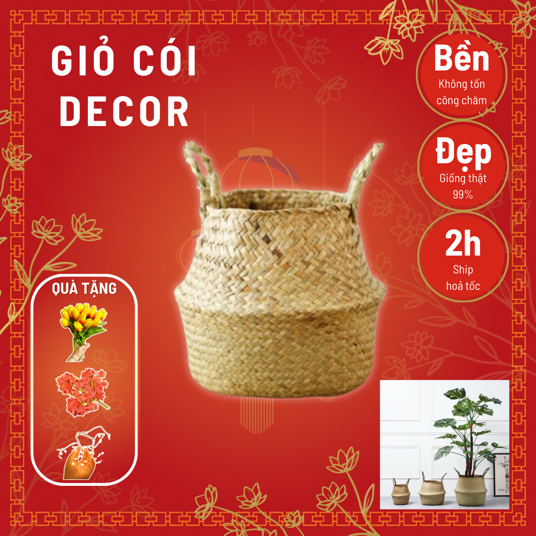 Giỏ cói đặt chậu cây