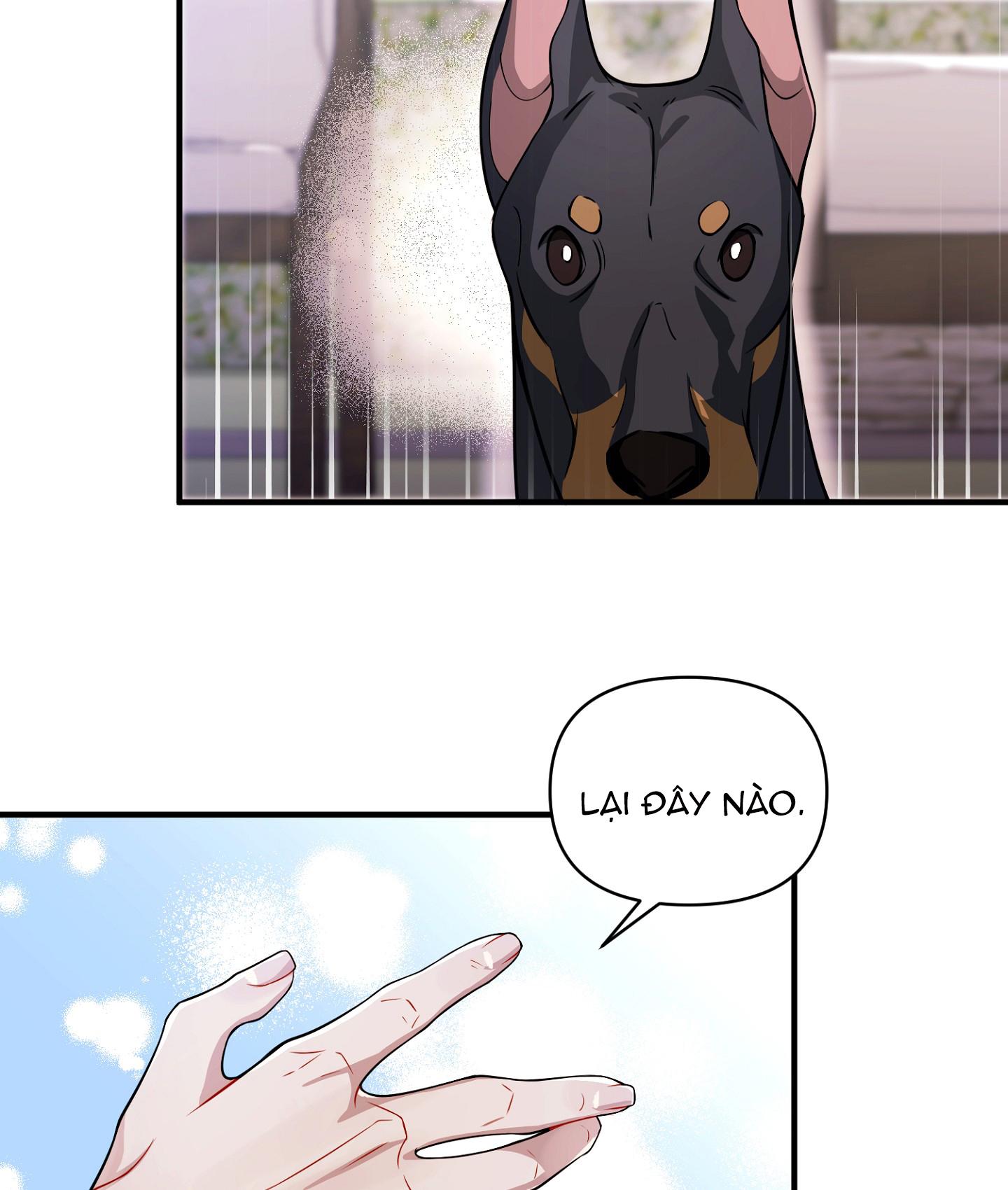 vết hằn chapter 27 43