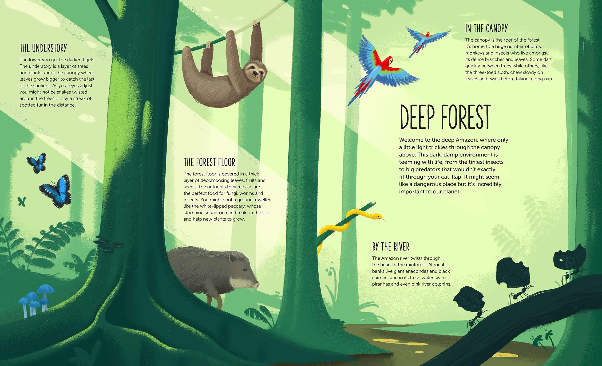 Deep: Dive Into Hidden Worlds