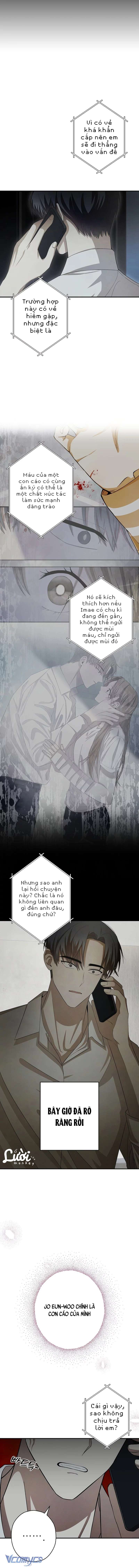 chuỗi thức ăn chapter 18 3