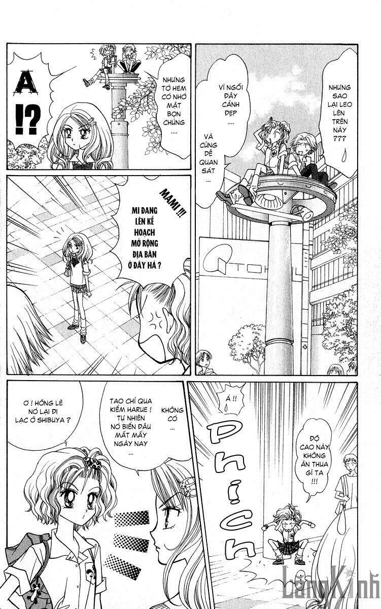 gals - mắt lưu ly chapter 7 35