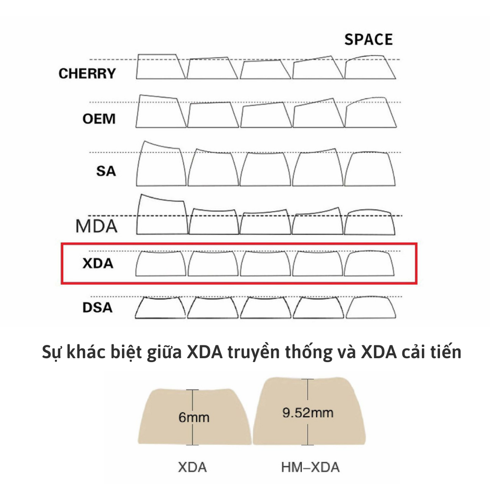 Tổng Hợp Mẫu Phím Keycap Lẻ Cute Nhựa PBT Langtu Profile XDA Sử Dụng Custom Bàn Phím Cơ Hàng Chính Hãng