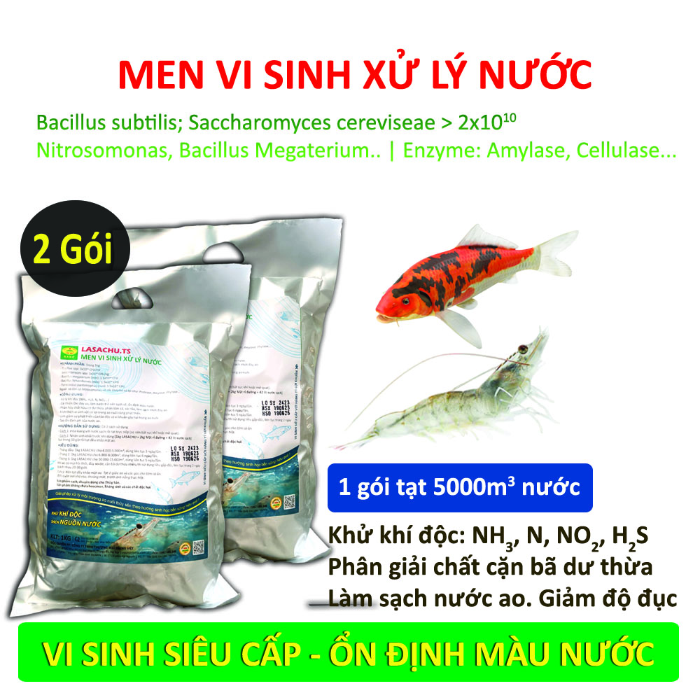 Combo 2 gói Men vi sinh xử lý nước ao hồ Cá Tôm - LASACHU. Làm trong nước, sạch nhớt đáy. Khử mùi hôi, tiêu khí độc . Ức chế vi khuẩn gây hại. HSD: 2 năm