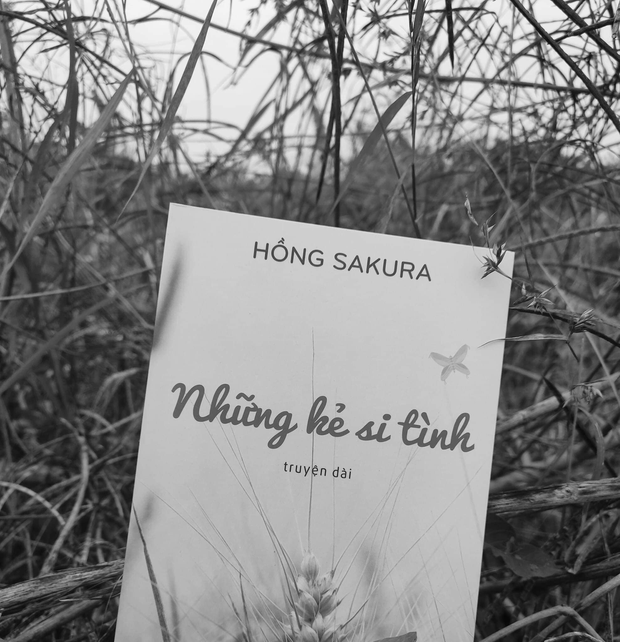 NHỮNG KẺ SI TÌNH - HỒNG SAKURA