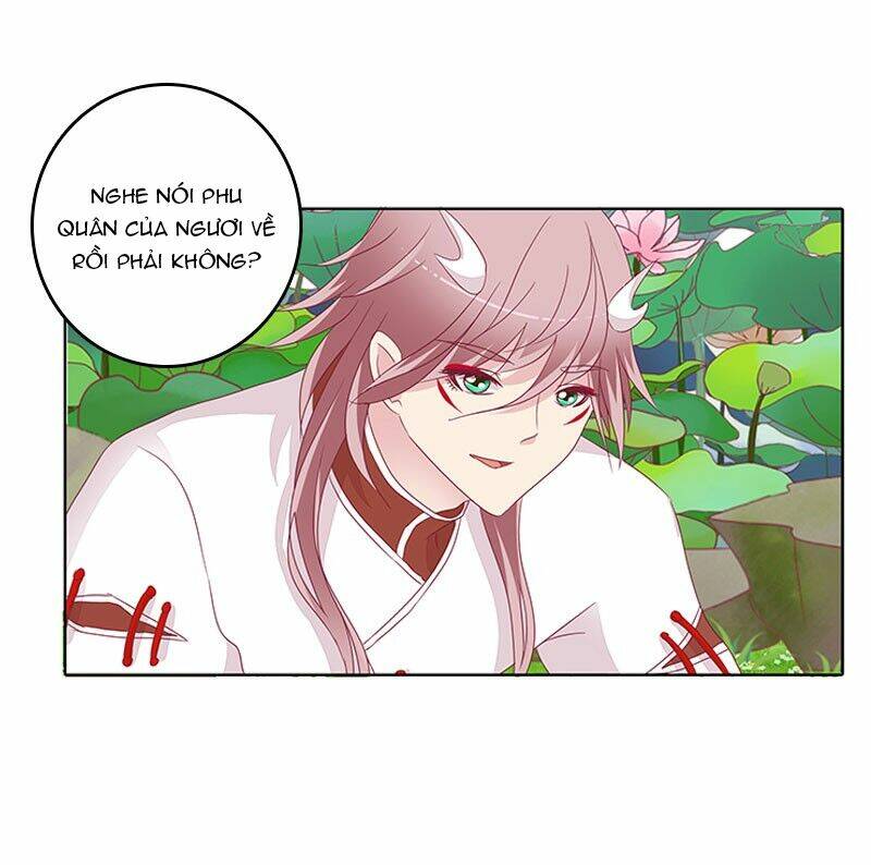 tướng quân mời ra trận chapter 41 11