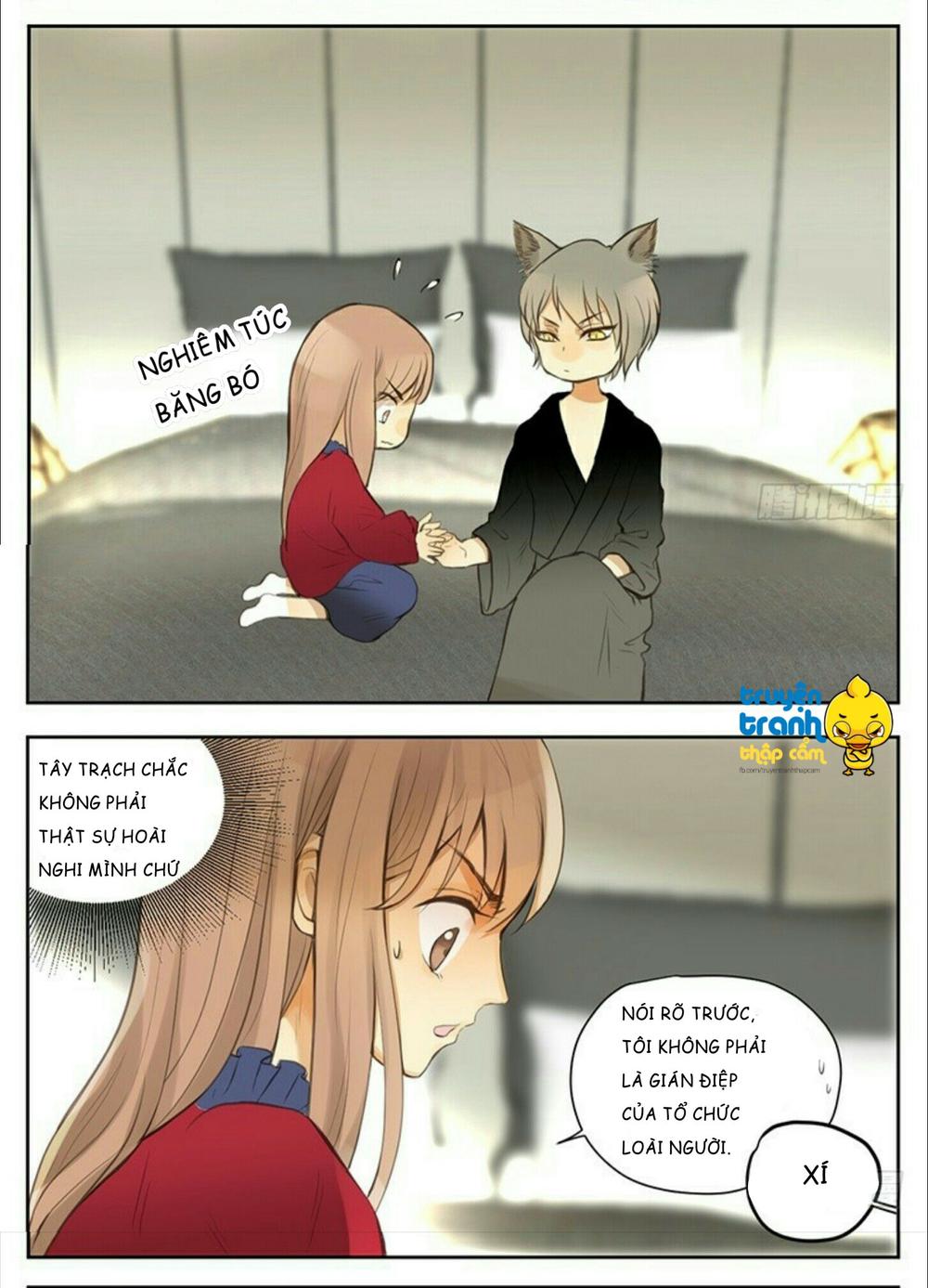 cứu mạng ! loài mèo thống trị thế giới rồi ! chapter 31 3