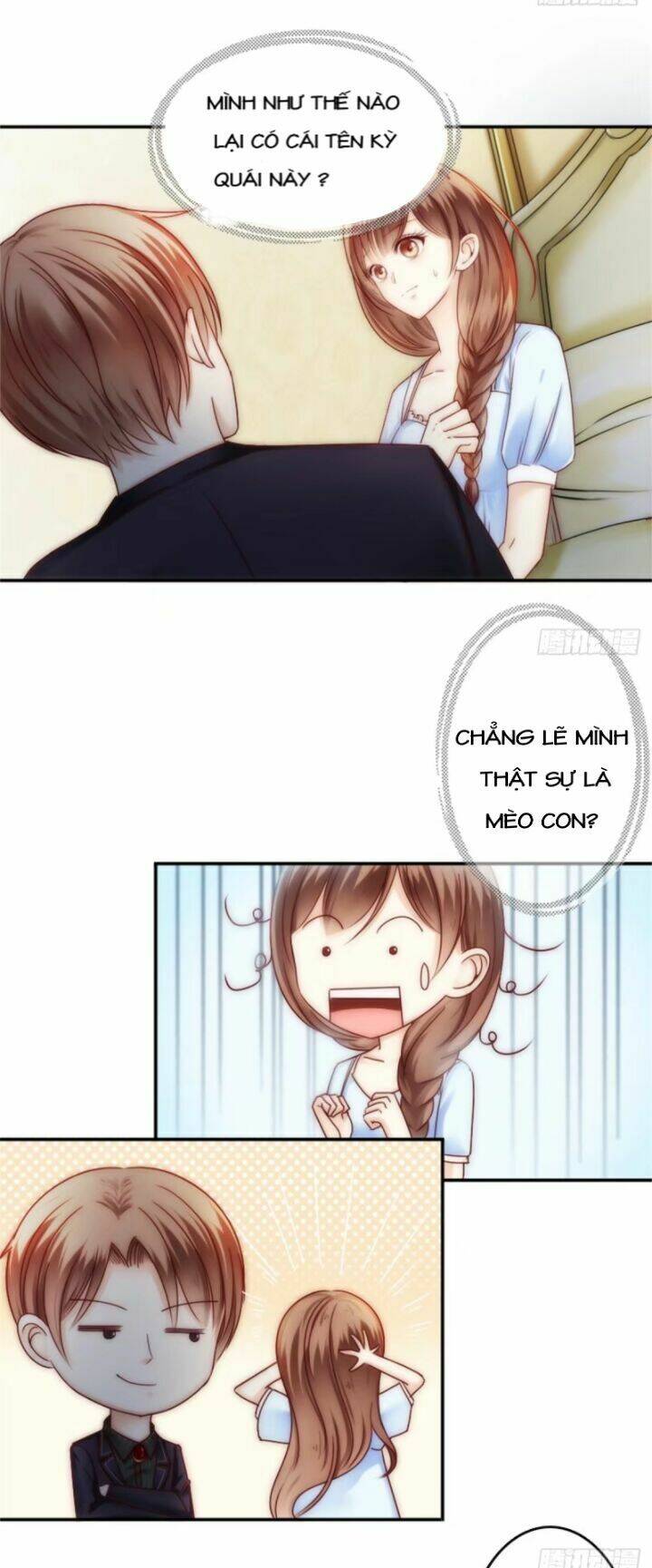 thất ức kiều thê sủng ái ký chapter 4 23