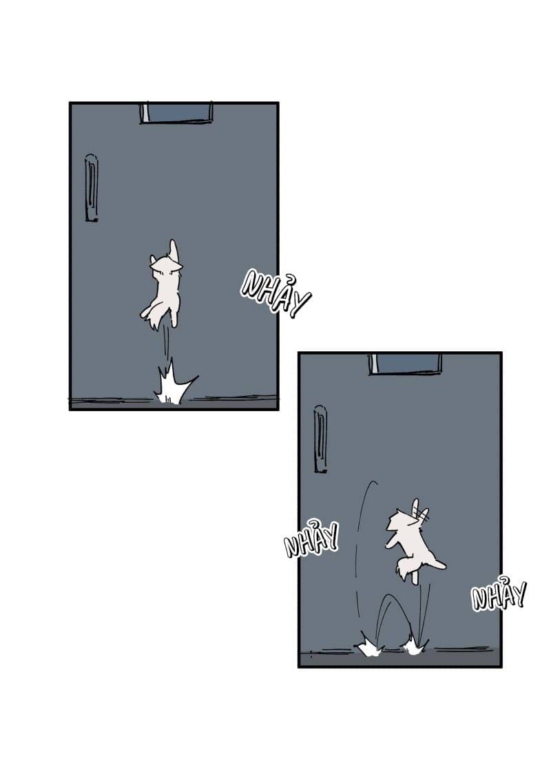 lumine - cội nguồn ánh sáng chapter 155 7