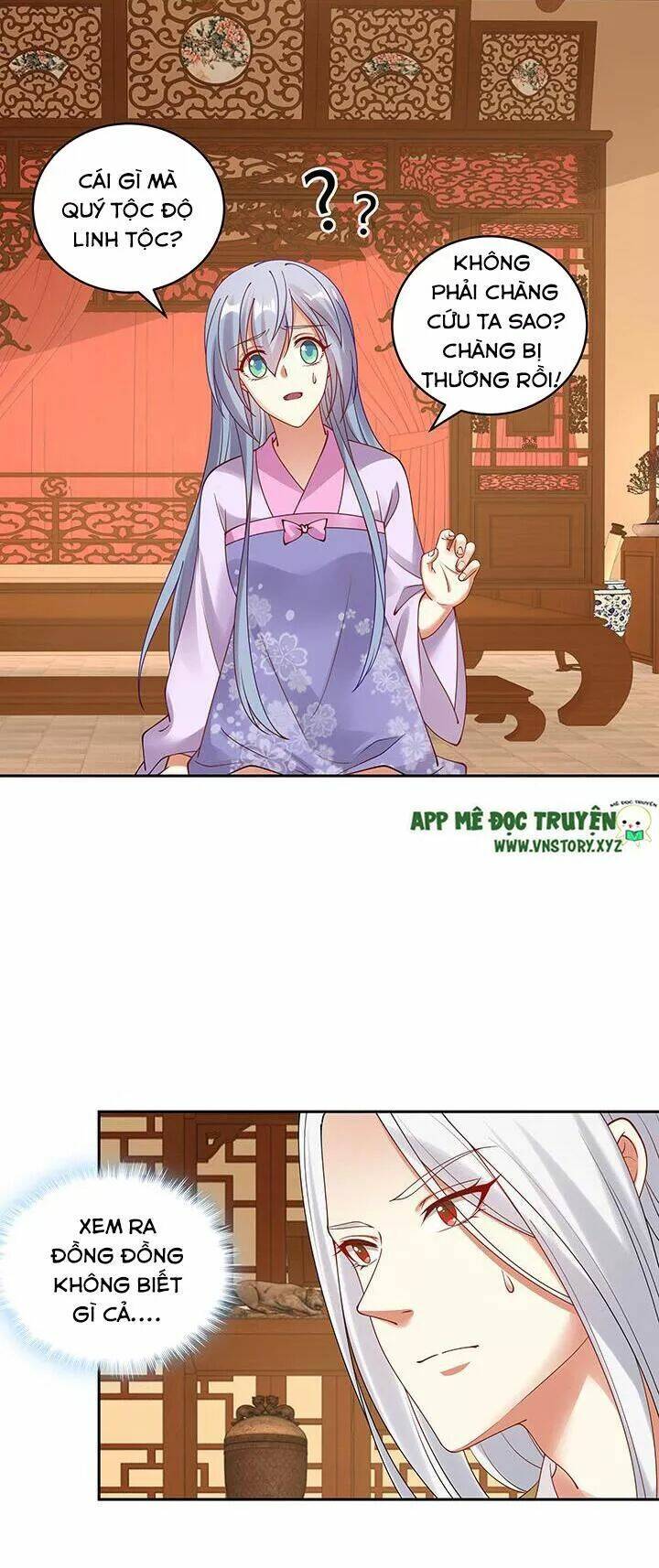 đô đốc đại nhân sủng thê kí chapter 111 11