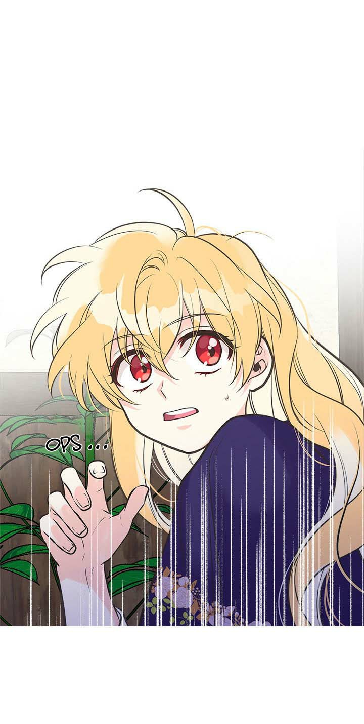 chị tôi đã nhặt về một nam chính quyến rũ chapter 26 41