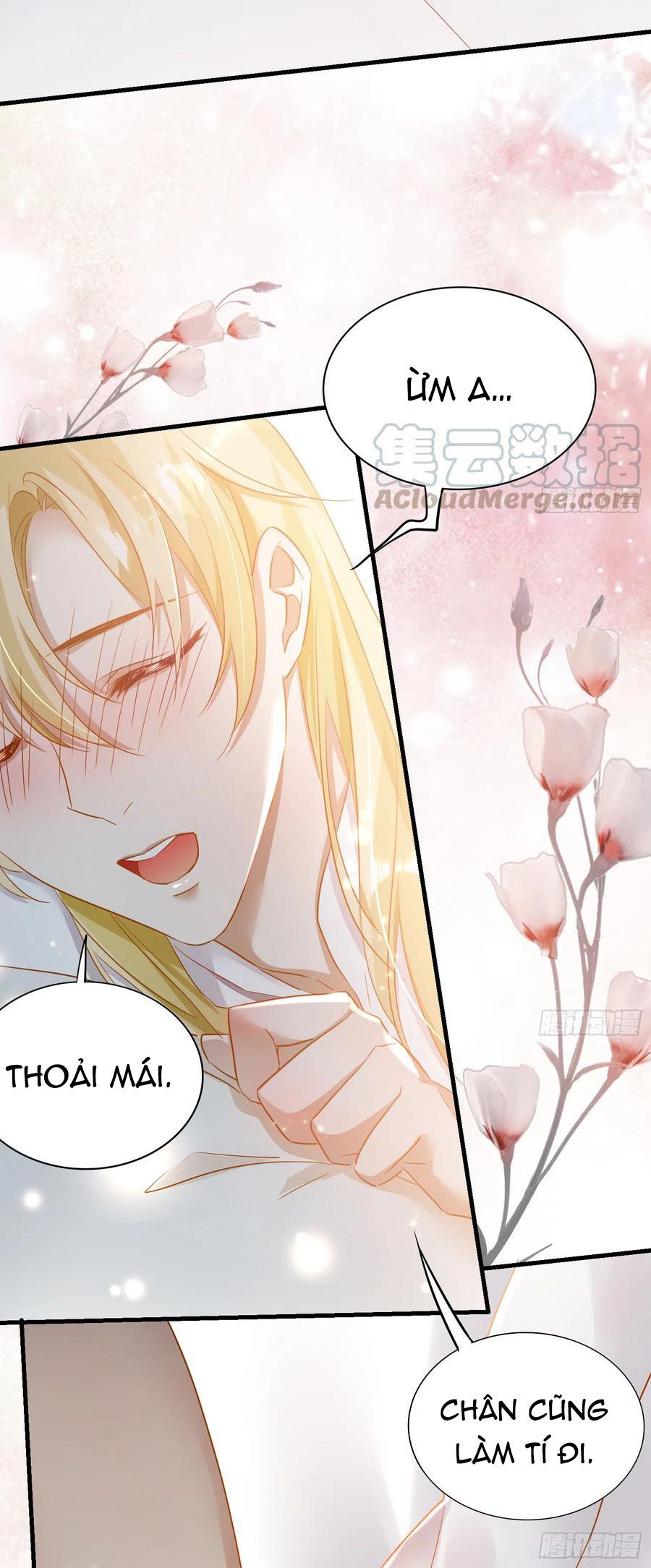 lục thân bất nhận chapter 39 2