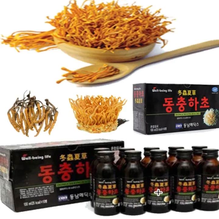 Hộp nước uống đông trùng hạ thảo- Dongchoonghacho