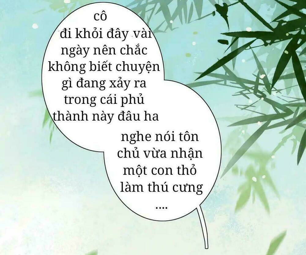 phi thiên địch tự dưỡng đích khẩu tử chapter 11 10