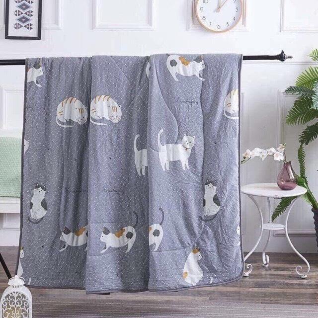 Chăn đũi hè thu mẫu mới 2x2m Chăn xuất Hàn