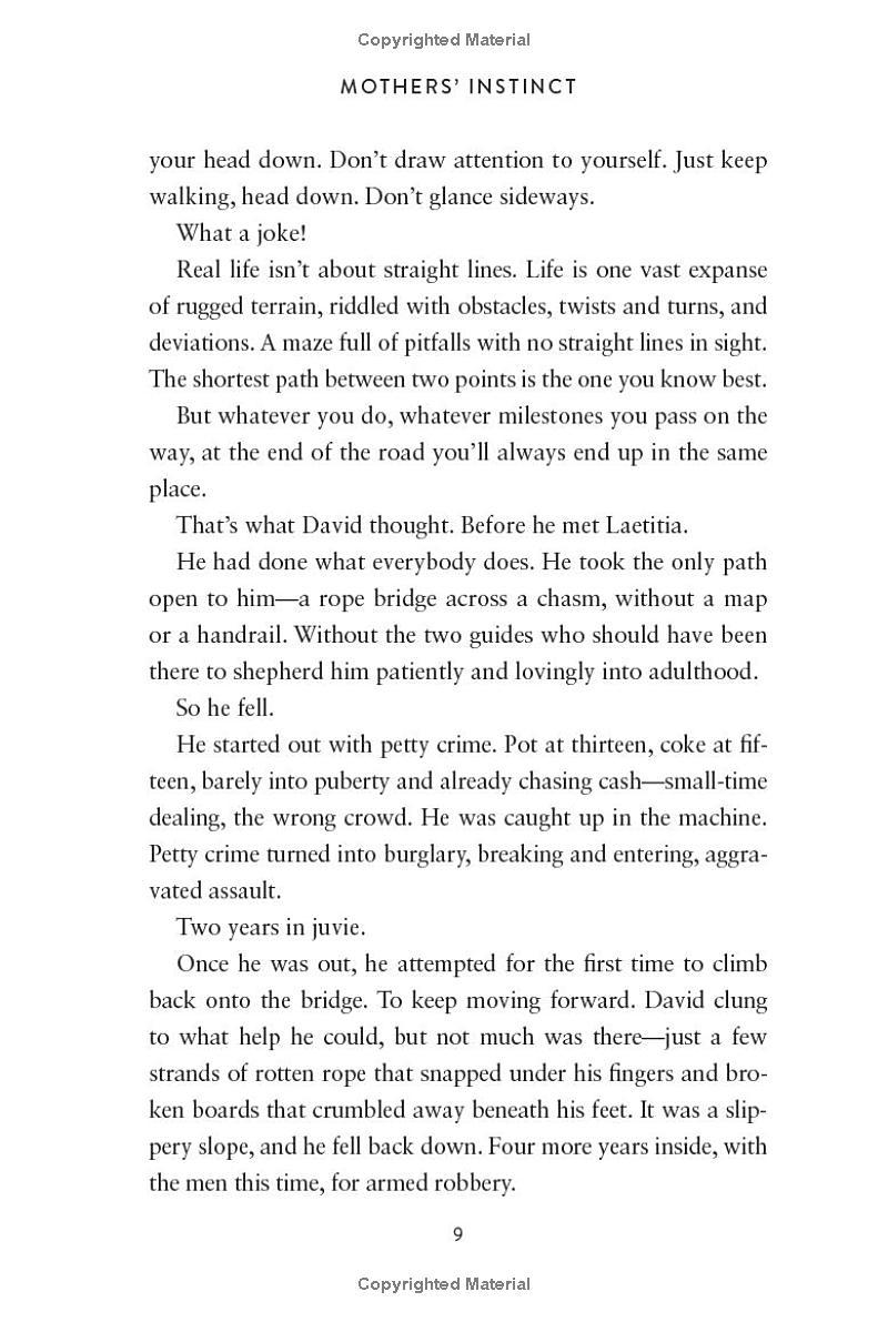 Sách ngoại văn: Mothers' Instinct - A Novel Of Suspense