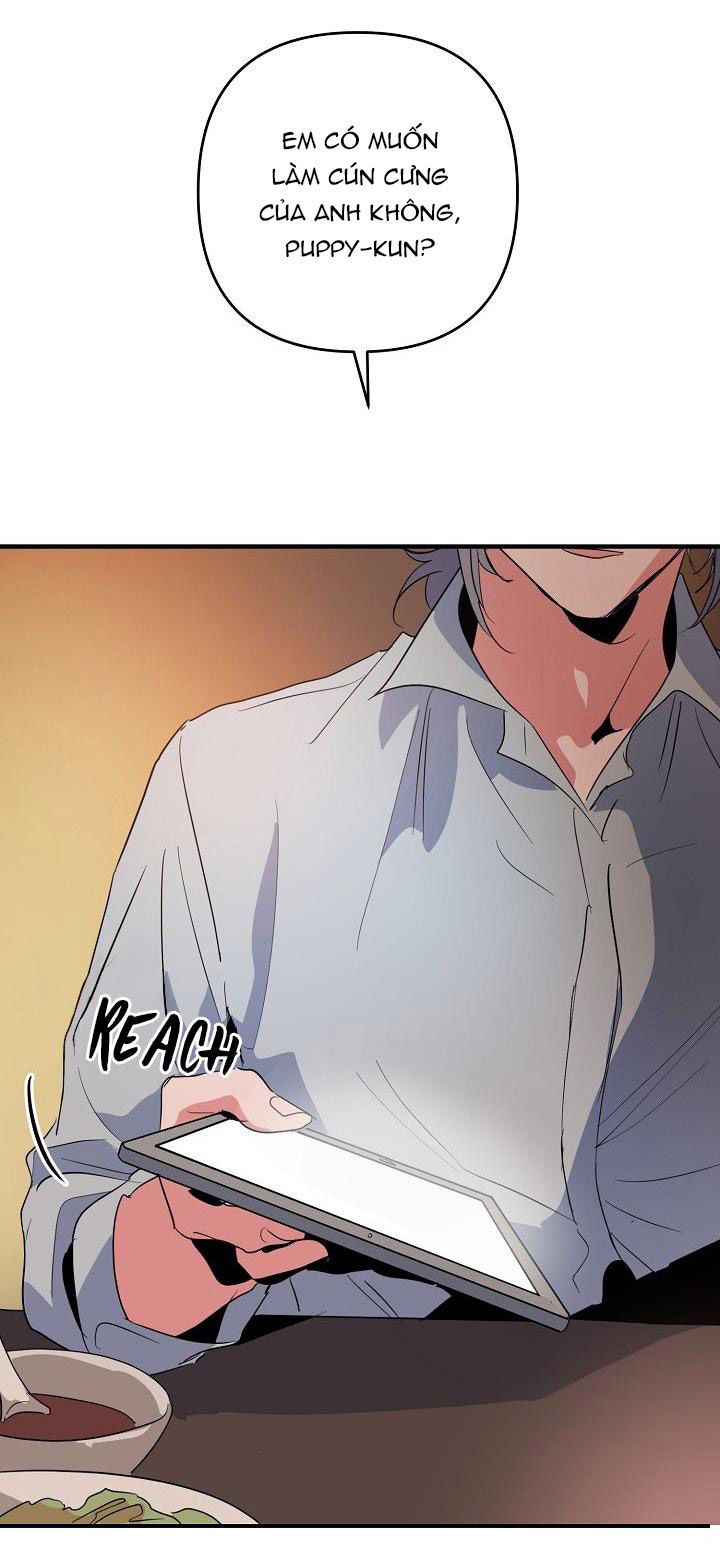 tình yêu cún con chapter 4.1 39