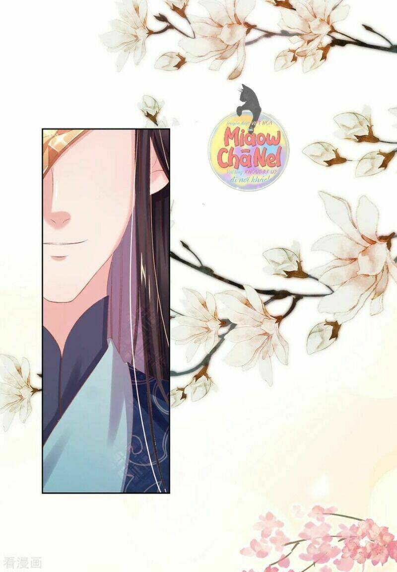 thị huyết y phi chapter 37 41