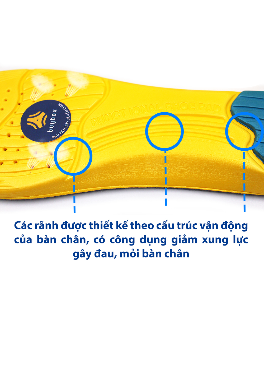 Bộ 3 mẫu lót giày thể thao, đêm êm bàn chân khi vận động, dùng để thay thế lót cũ - Buybox - BBPK26_BBPK128_BBPK155